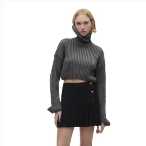 Zara Pants - Zara Skort Pleaded Mini